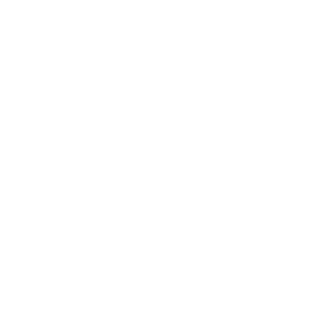 bmw-logo
